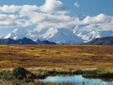 Tundra West of the Eieson Visitors Center  Pond with Beaver House  Mt Denali  Alaska  USA