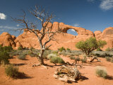 Skyline Arch  Arches National Park  Utah  USA