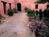 Colorful Stucco Architecture and Flowers  Oaxaca  Mexico