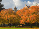 Quad in Autumn  University of Washington  Seattle  Washington  USA
