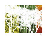 Rainforest Life II