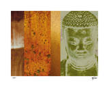 Colors in Meditation II