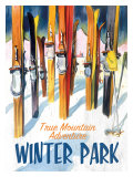 True Mountain Adventure Winter Park
