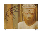 In The Zen II