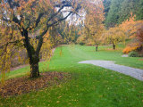 Azalea Way in Autumn  Washington Park Arboretum  Seattle  Washington  USA