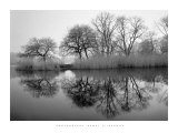 Prospect Park Morning