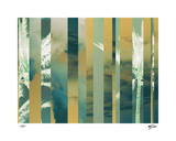 Tropical Variation I