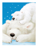 Fluffy Bears II