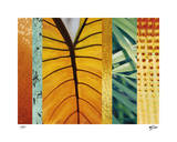 Rainforest Zen I