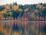 Autumn at Green Lake  Seattle  Washington  USA