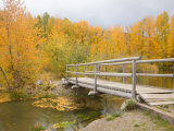 Autumn Color at Easton Ponds with Trail  Wenatchee National Forest  Washington  USA