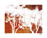 Zen Forest II