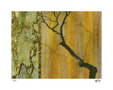 Golden Echoes I