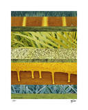 Abstraction in Nature I