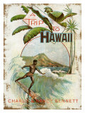 A Trip to Hawaii