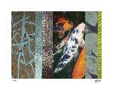 Koi Pond II
