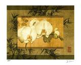 Bamboo & Orchids II