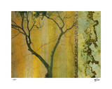 Golden Echoes II