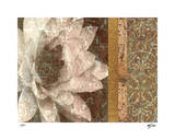 Classic Floral II