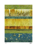 Abstraction in Nature II