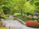 Flowers in Bloom  Japanese Garden  Washington Park Arboretum  Seattle  Washington  USA