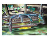 051607 Bull Gator