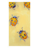 Lady Bugs