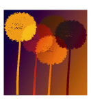 Dandelion Clocks
