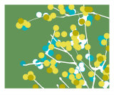 Green And Yellow Blossom