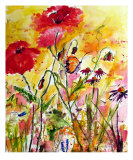 Poppies & Butterflies Provence France