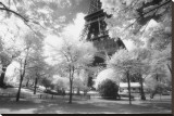 Afternoon In Paris