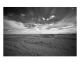 Prairie Landscape