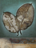Beauty Fusion I