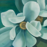 Twin Magnolia
