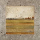 Metalized Landscape I