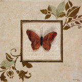Butterfly Study I