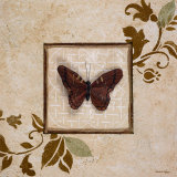 Butterfly Study II