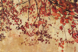 Colorful Season I