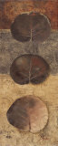 Eco-logic II