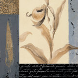 Orchid Collage I