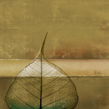 Less is More II