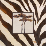 Contemporary Africa I