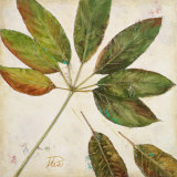 Organic III