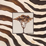 Contemporary Africa II