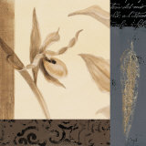 Orchid Collage II