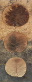 Eco-logic I