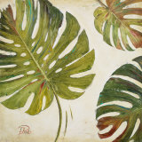 Organic I