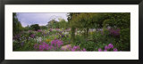 Flowers in a Garden  Foundation Claude Monet  Giverny  France