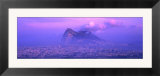 Rock of Gibraltar  Andalucia  Spain