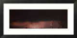 Forked Lightning under Dramatic Cloud Striking over a Field